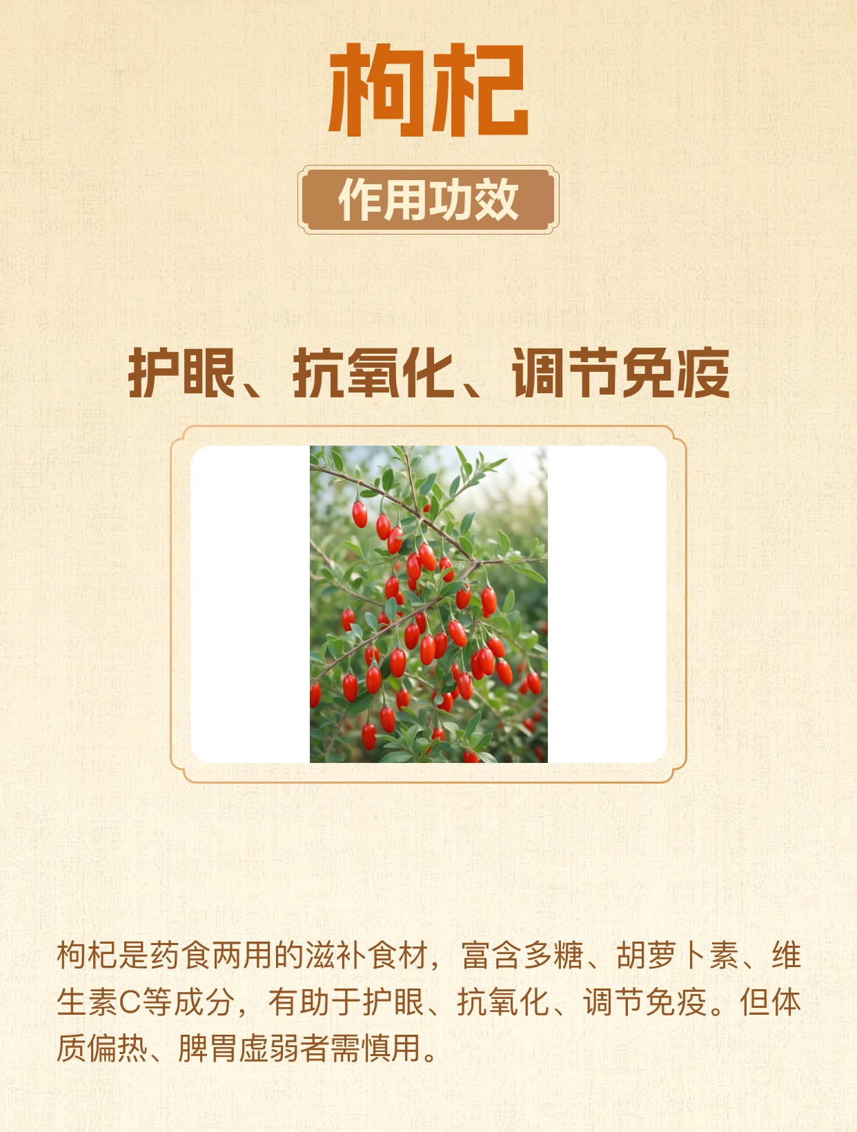 枸杞的功效与作用禁忌哪些人不适合吃 | 百度健康·医学科普