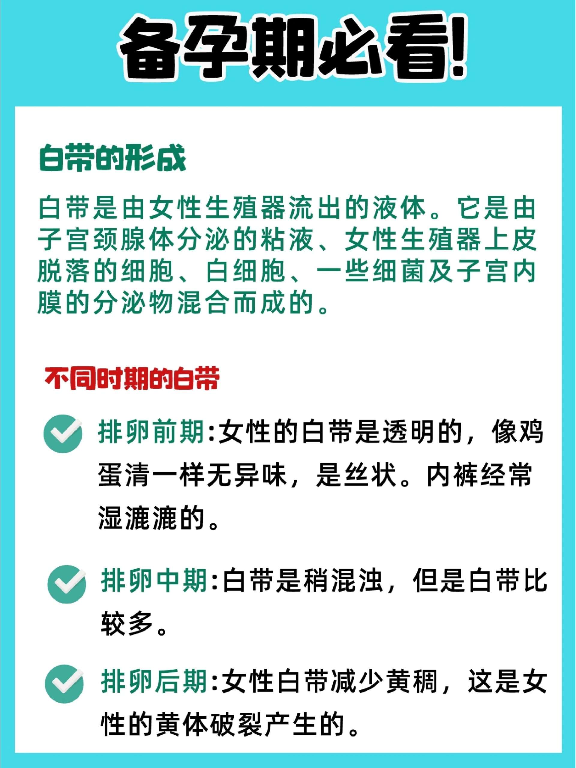 白带的形成过程图解图片