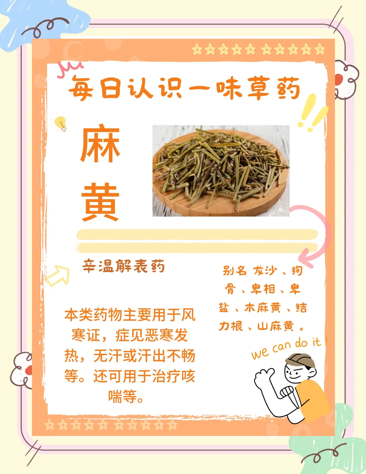 🌿麻黄：中药界的“辛温先锋”💪