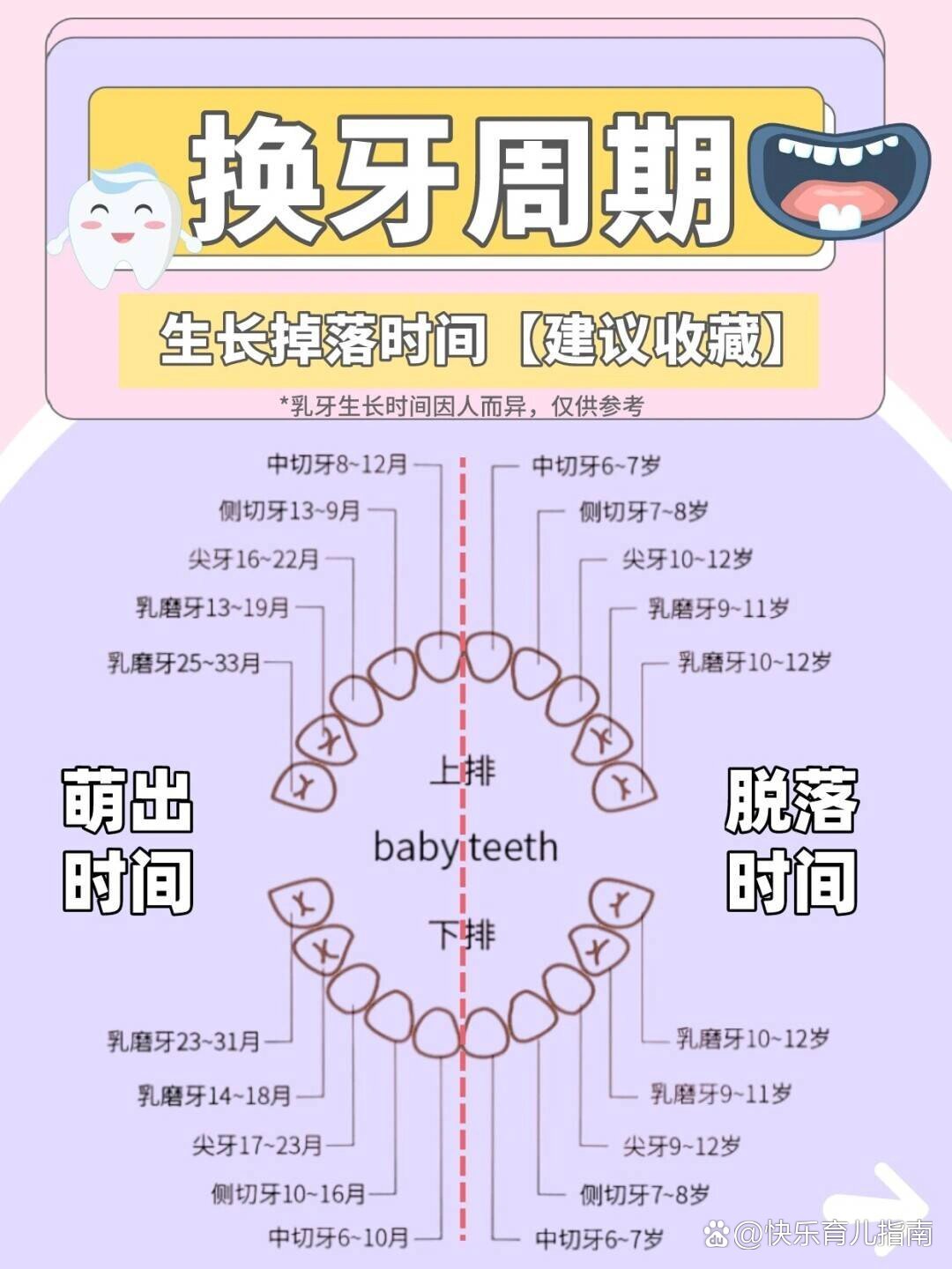 换牙顺序和年龄图图片