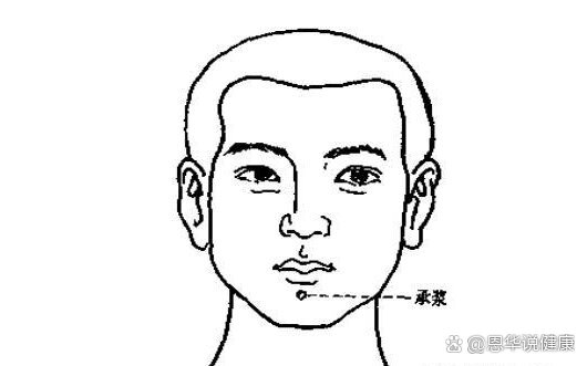 承浆的准确位置图 全网资源