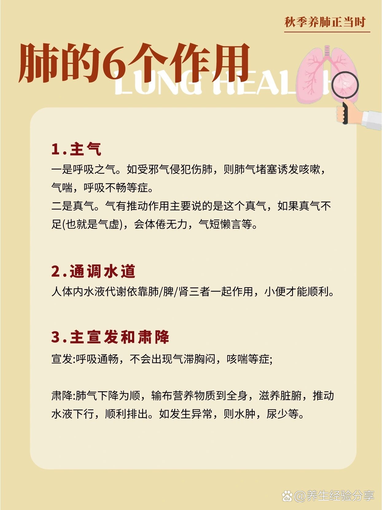 养肺的保健操(对肺有好处的保健操)