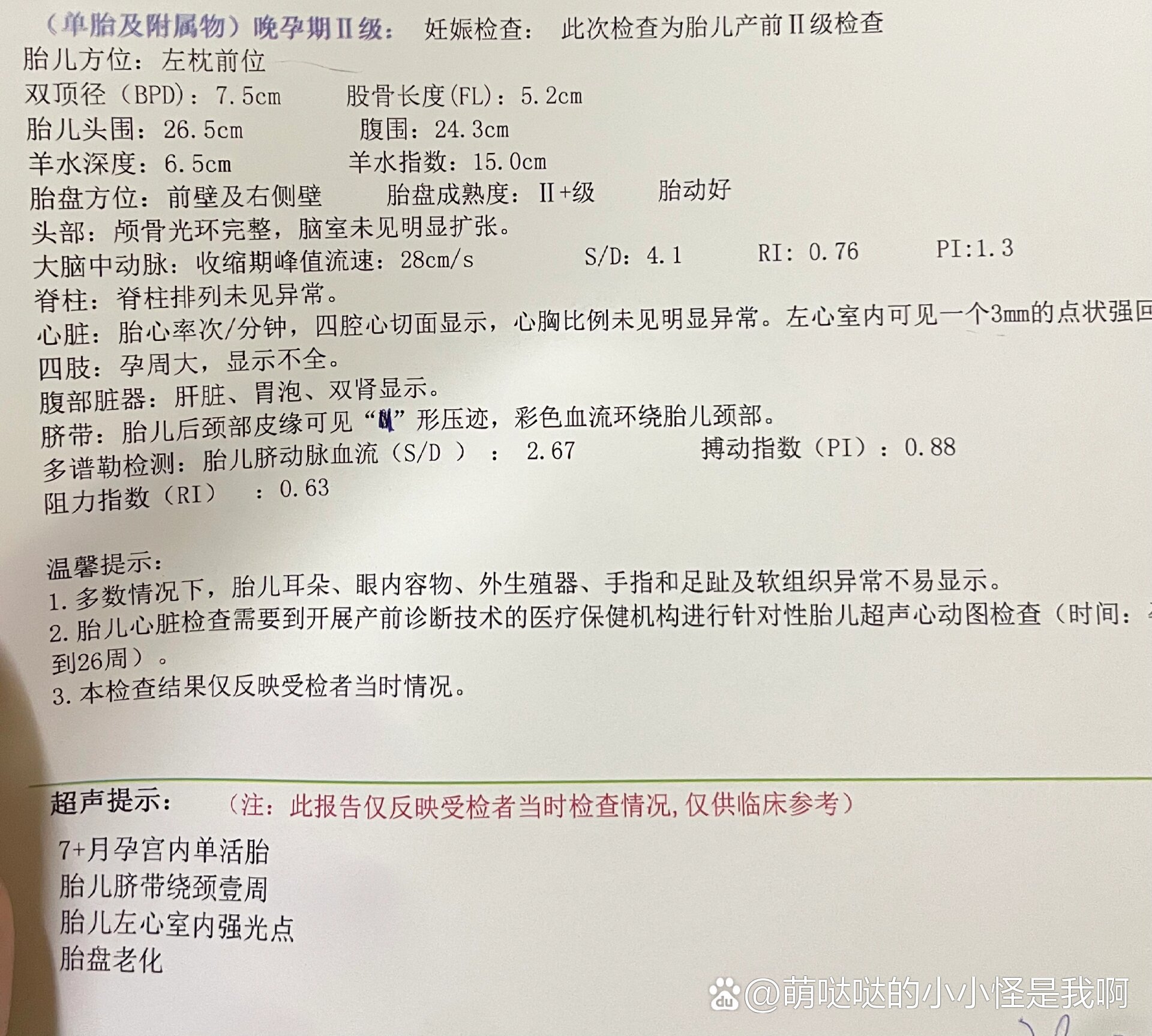 怀孕28天彩超图片图片