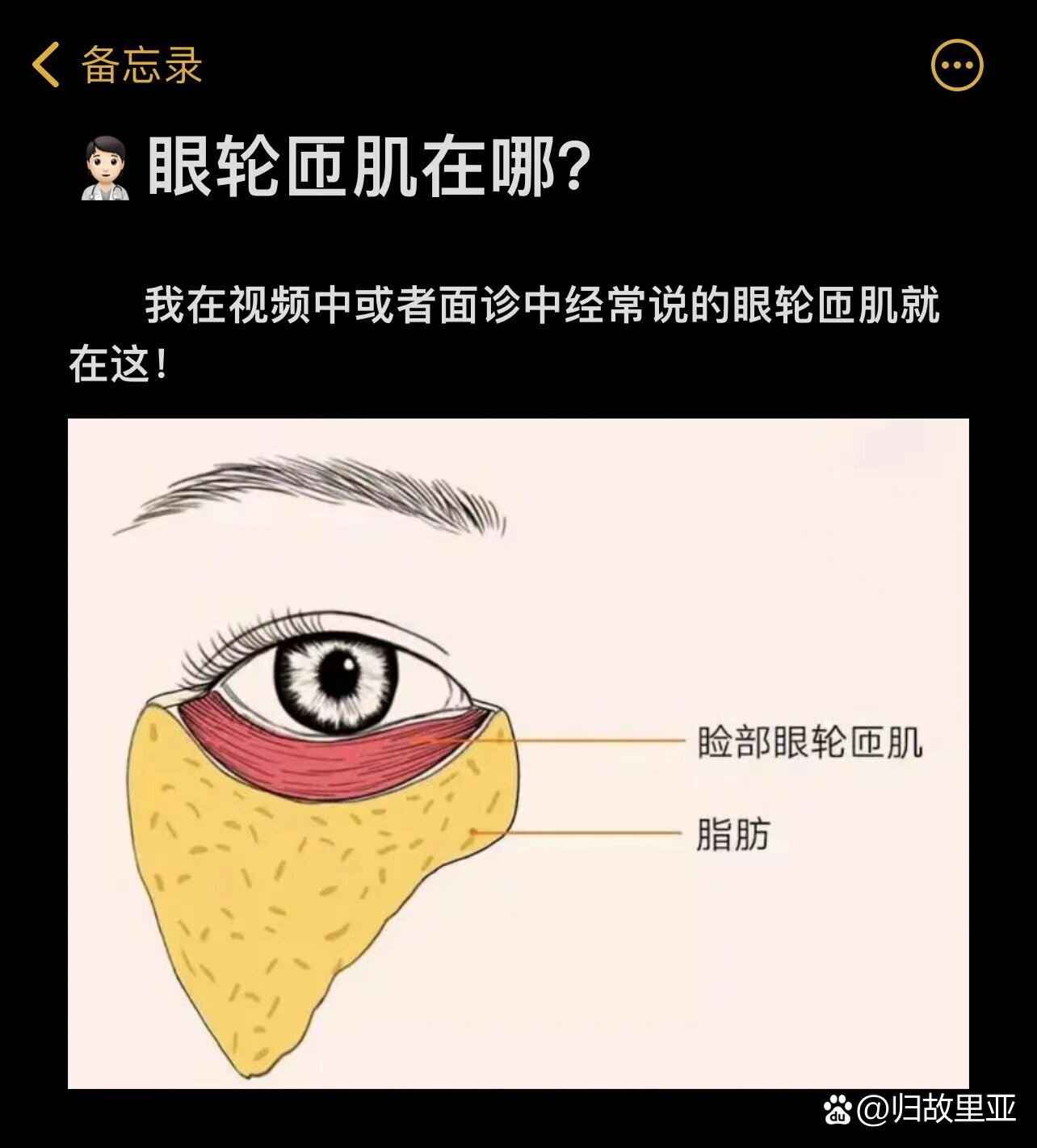 口轮匝肌发达图片