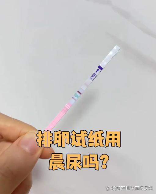 排卵试纸用晨尿吗？