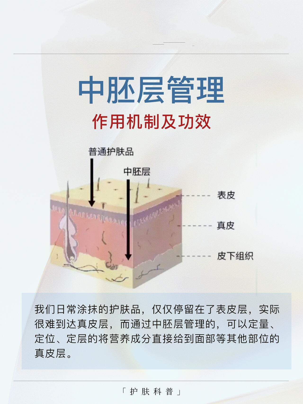 潜育层图片