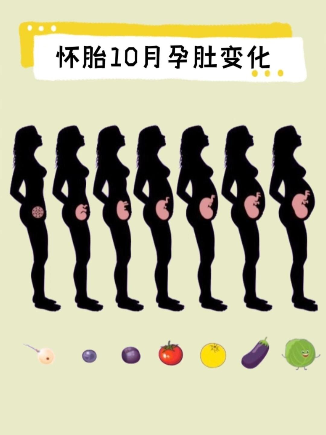 怀孕1—10月肚子变化和注意事项