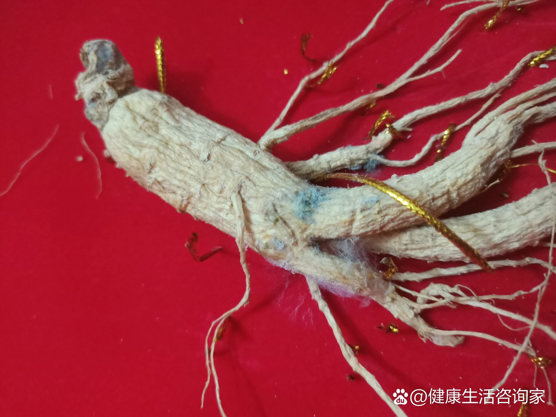 人参发霉了还能吃吗(;д;)