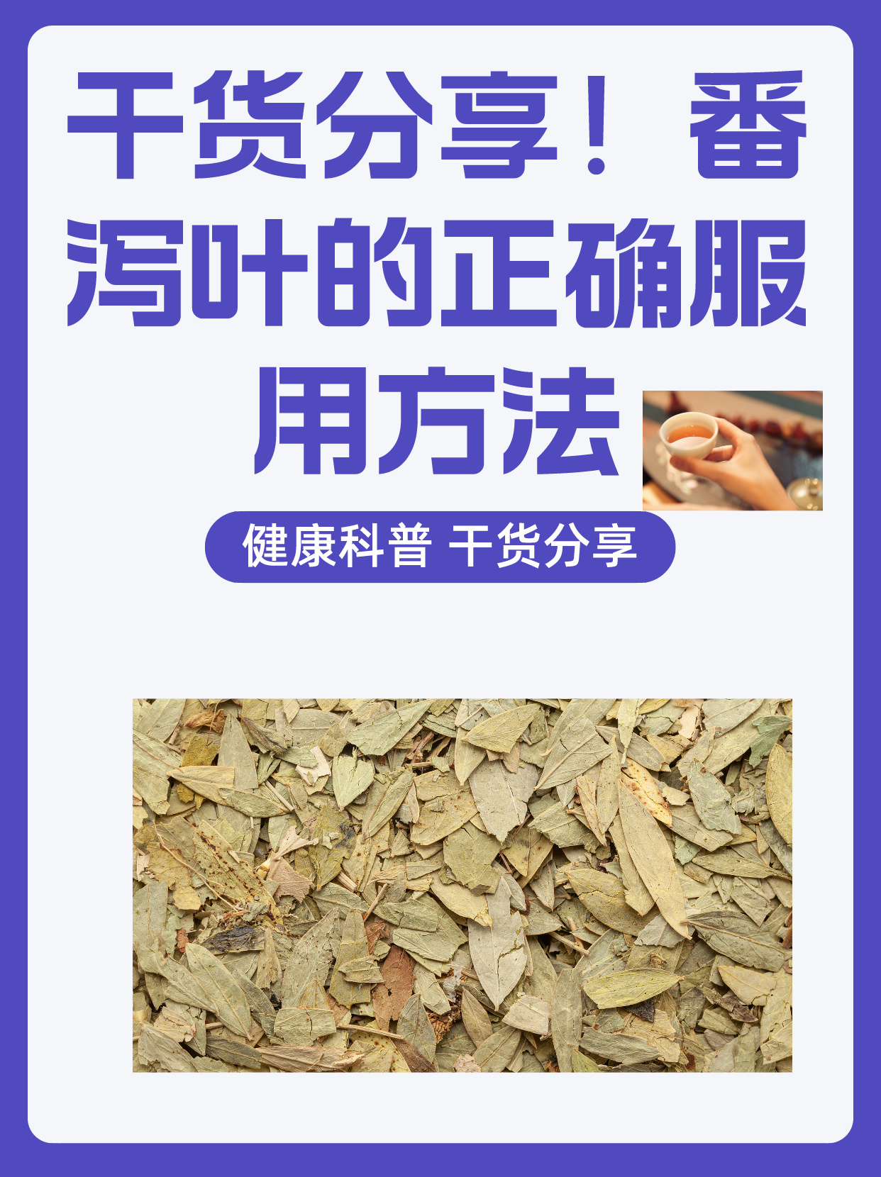 干货分享!番泻叶的正确服用方法