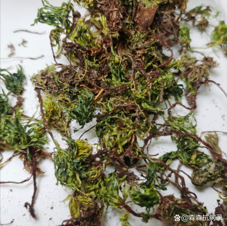 每日一味药_回心草