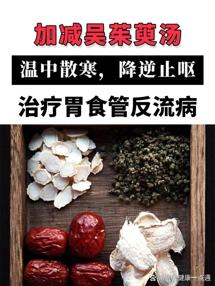 吴茱萸汤方歌图片