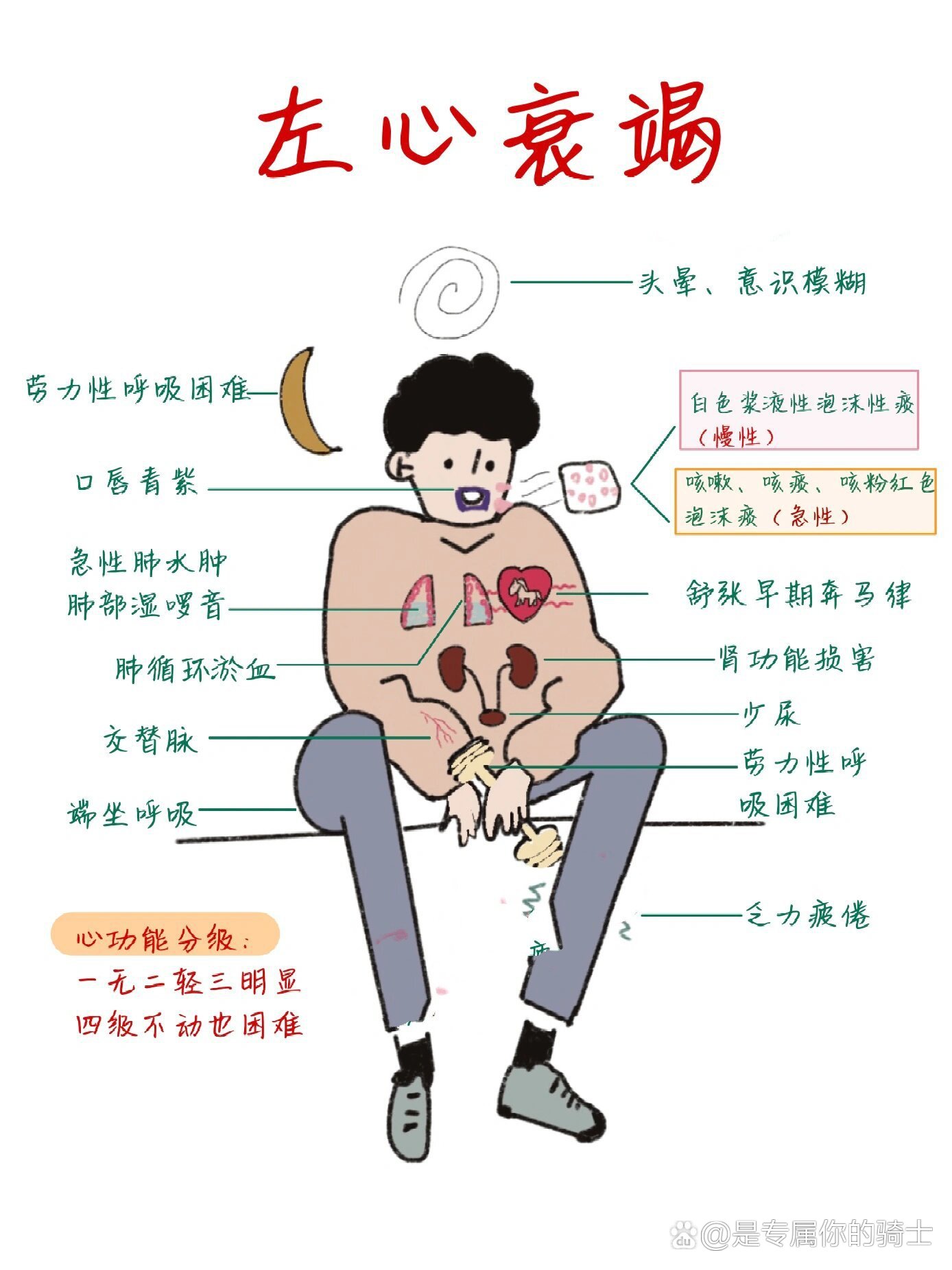  p>医学生笔记📒左心衰竭 br>📚病因 br>📚