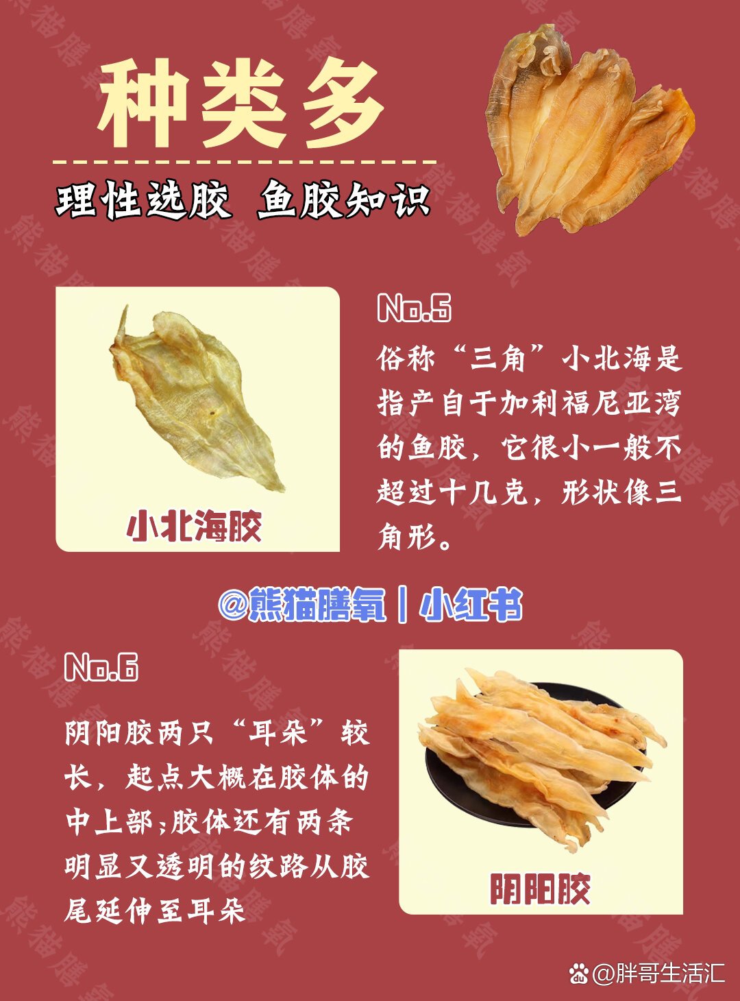 合集) br>73作为日常滋补功效型的选择北海鱼胶深受胶友们的喜爱  