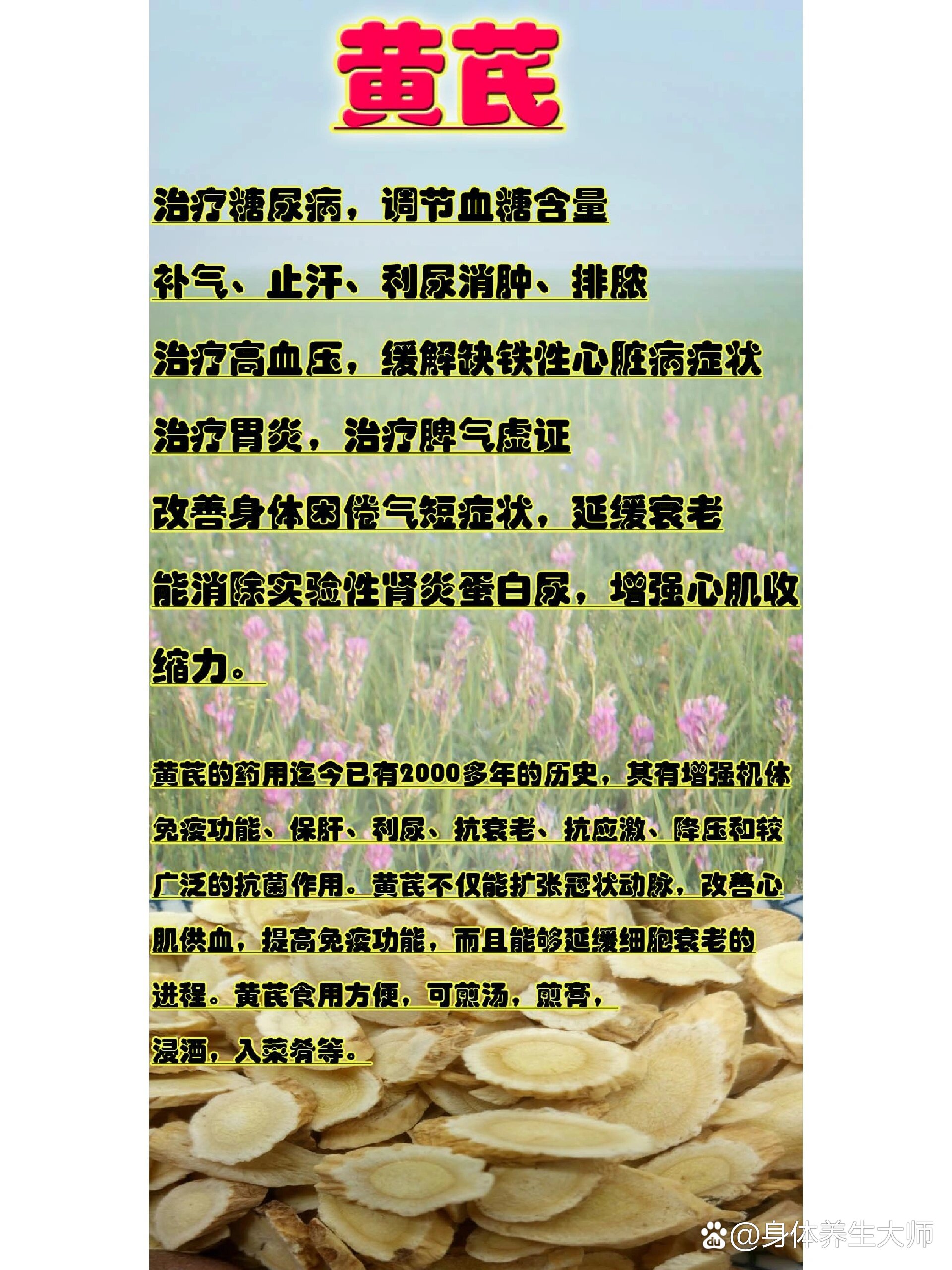 白芪图片 功效图片