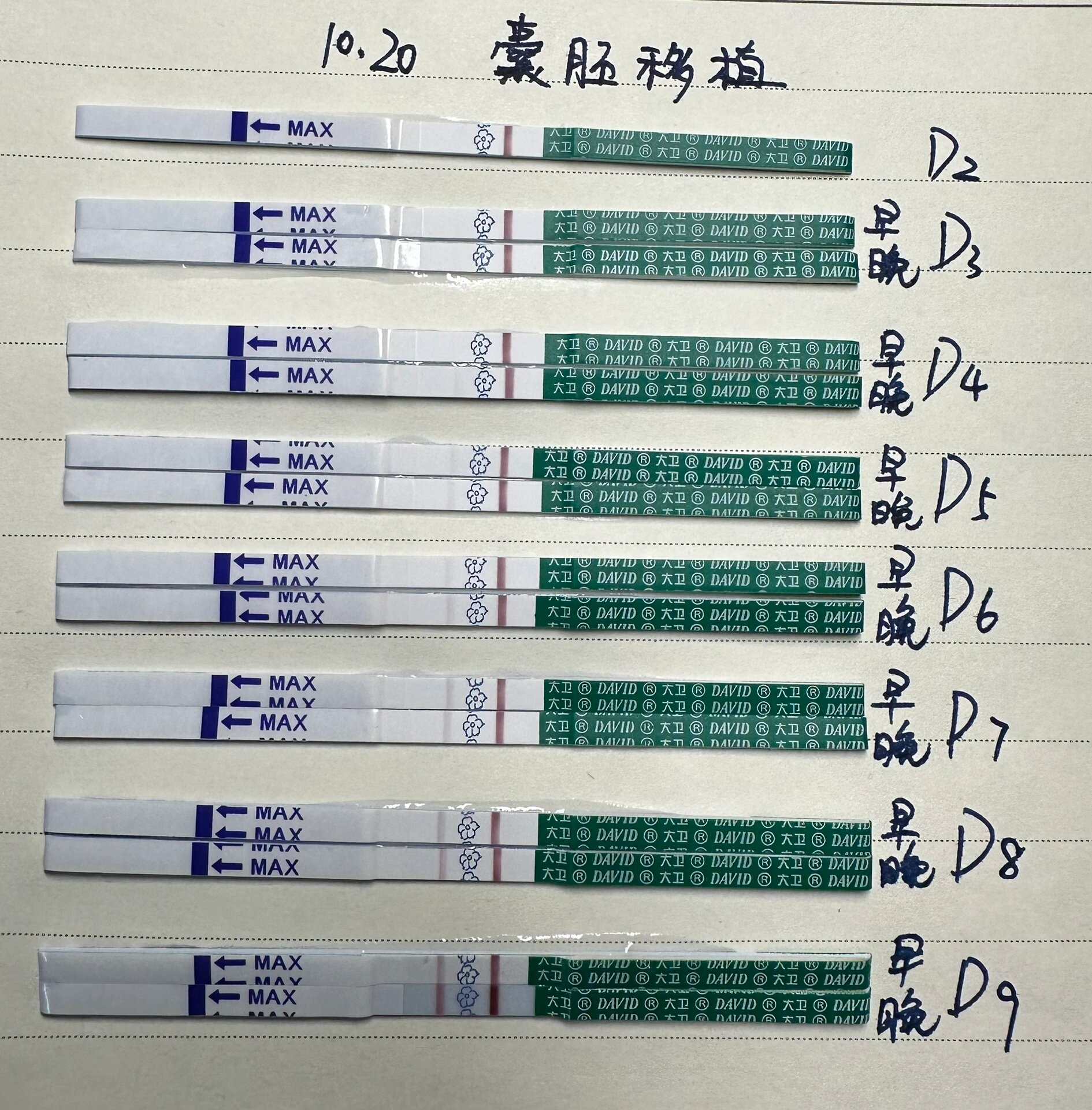 囊胚移植后试纸加深图图片