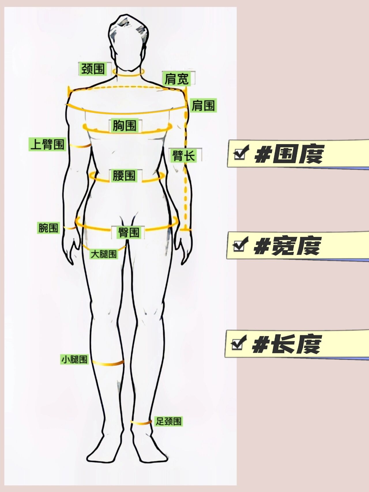 如何测量身体各个尺寸