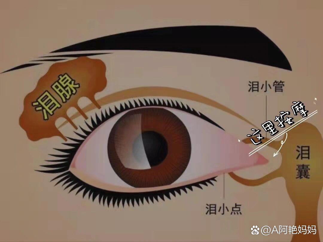 泪小管狭窄按摩手法图片