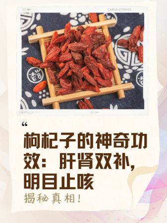 枸杞子的神奇功效:肝肾双补,明目止咳