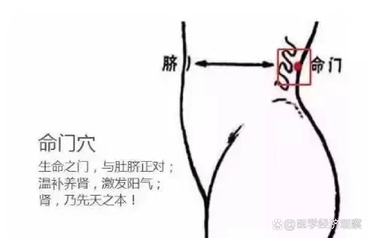 揉命门正确手法图图片