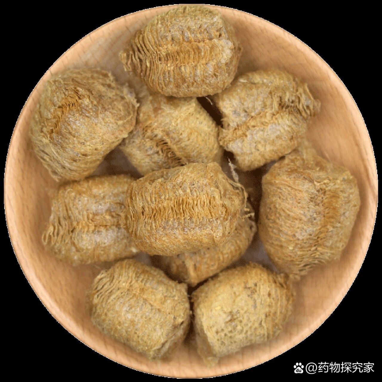 每天了解一味中药,桑螵蛸