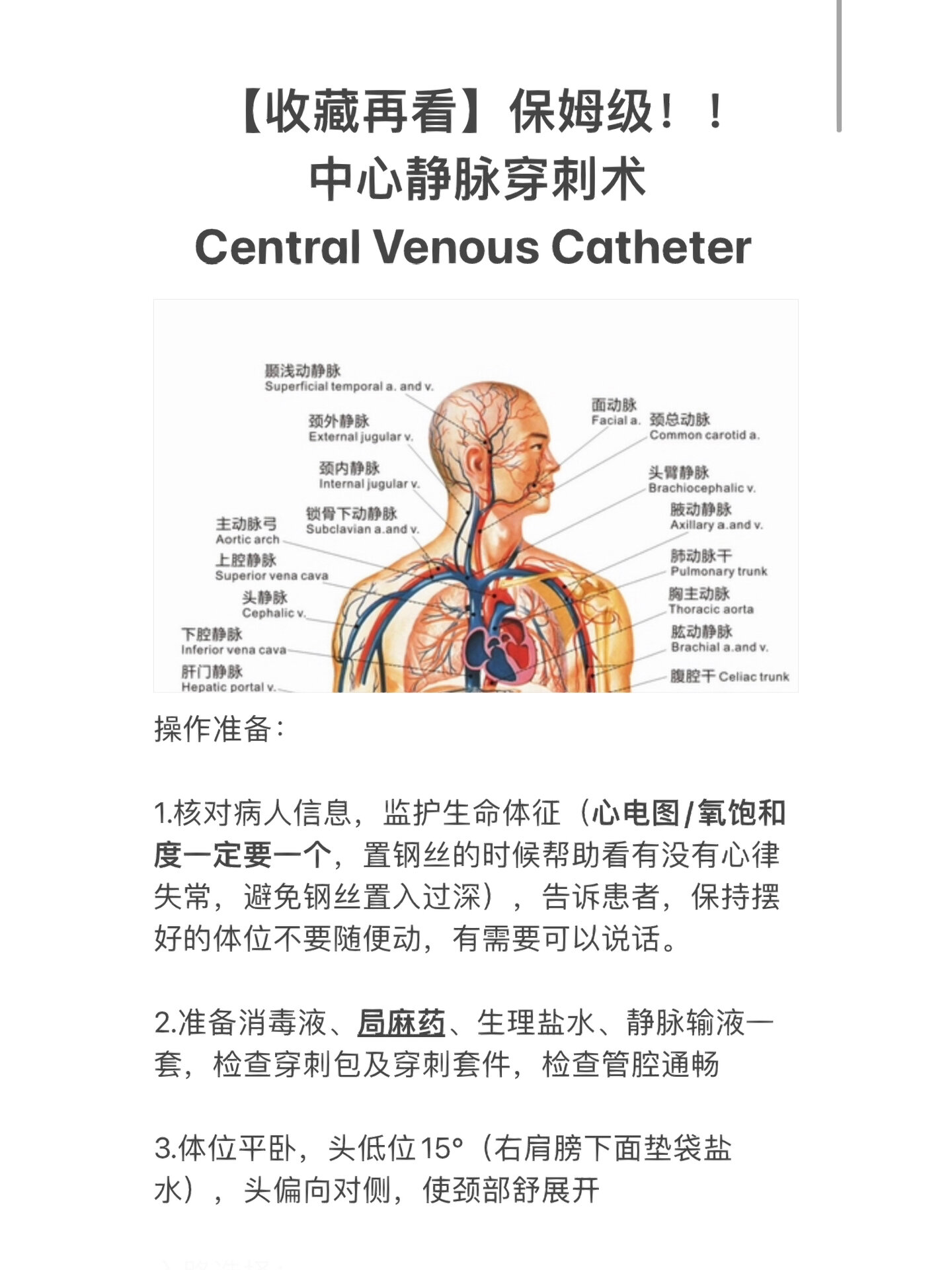 颈内静脉穿刺定位图片