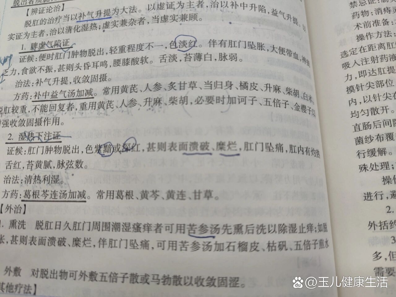 鹦鹉鱼脱肛怎么治疗图片