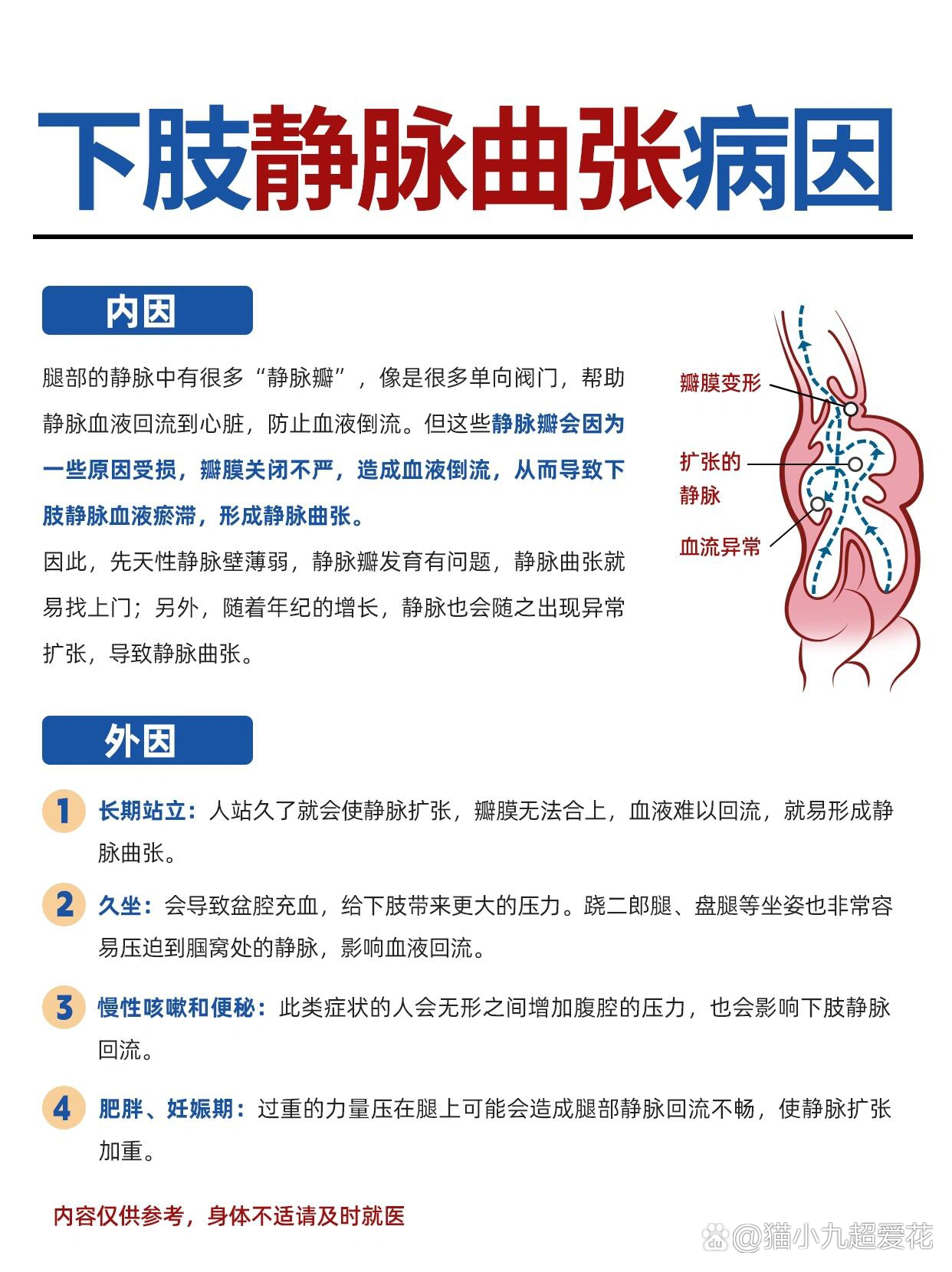 久坐久站静脉曲张‼️到底怎么回事⁉️