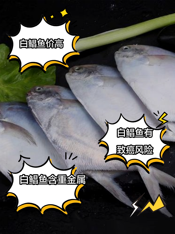 白鲳鱼尽量少吃的原因