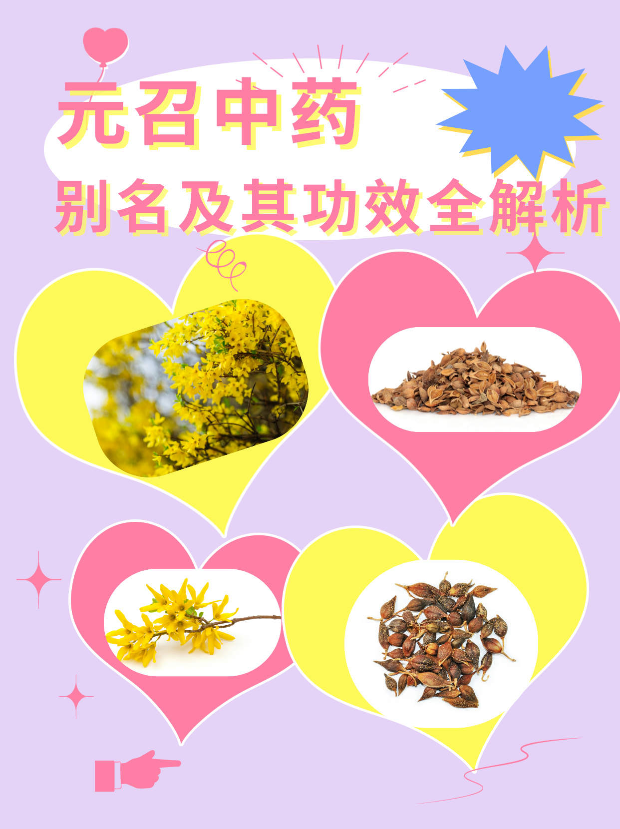 元召中药别名及其功效全解析