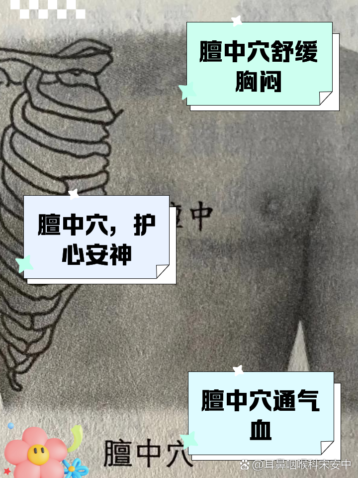 膻中穴在哪里