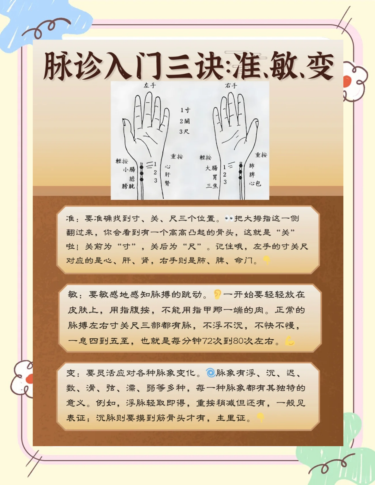 📜脉诊入门：从零开始学脉诊💡