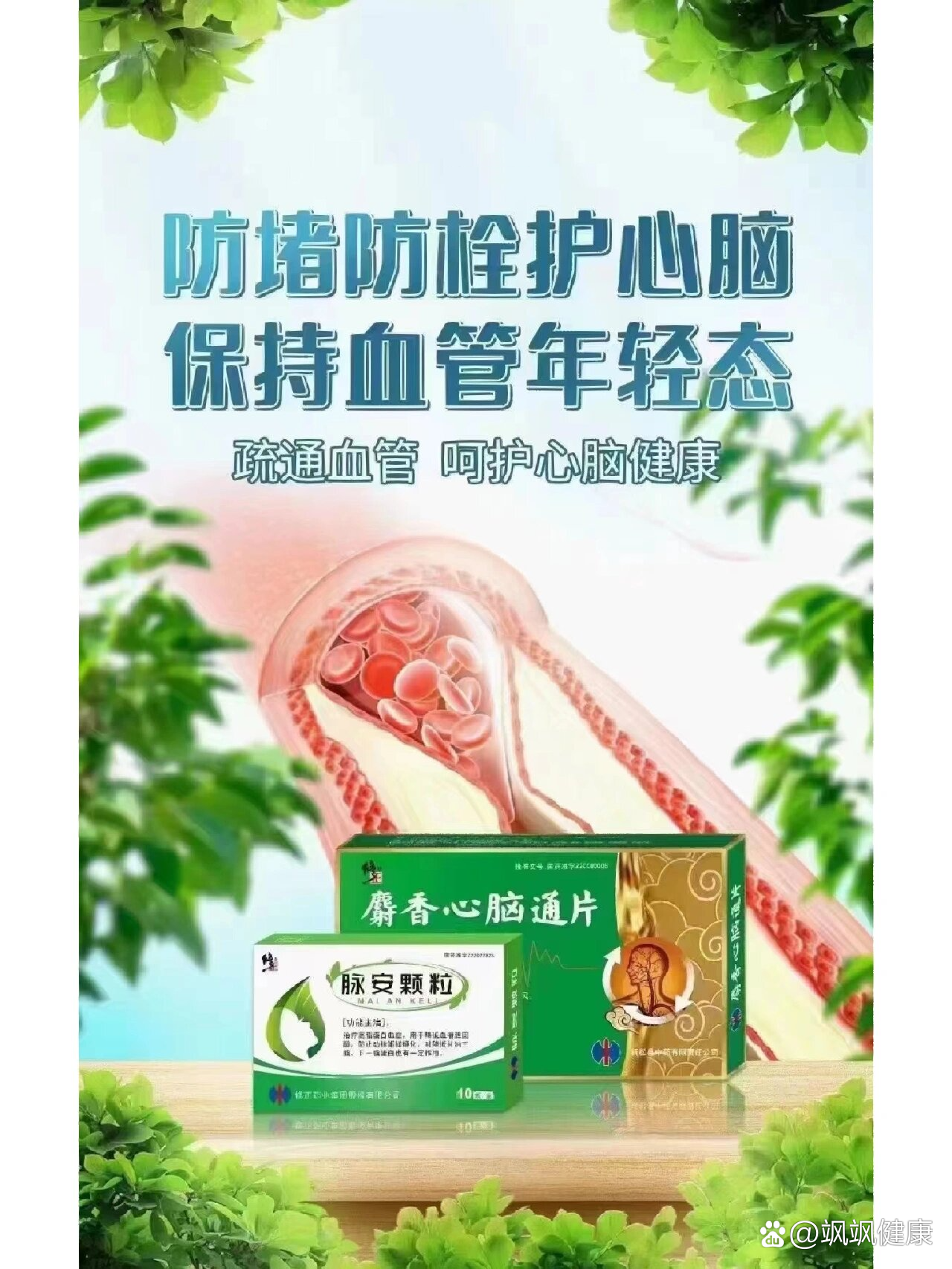 修正心脑健片图片图片