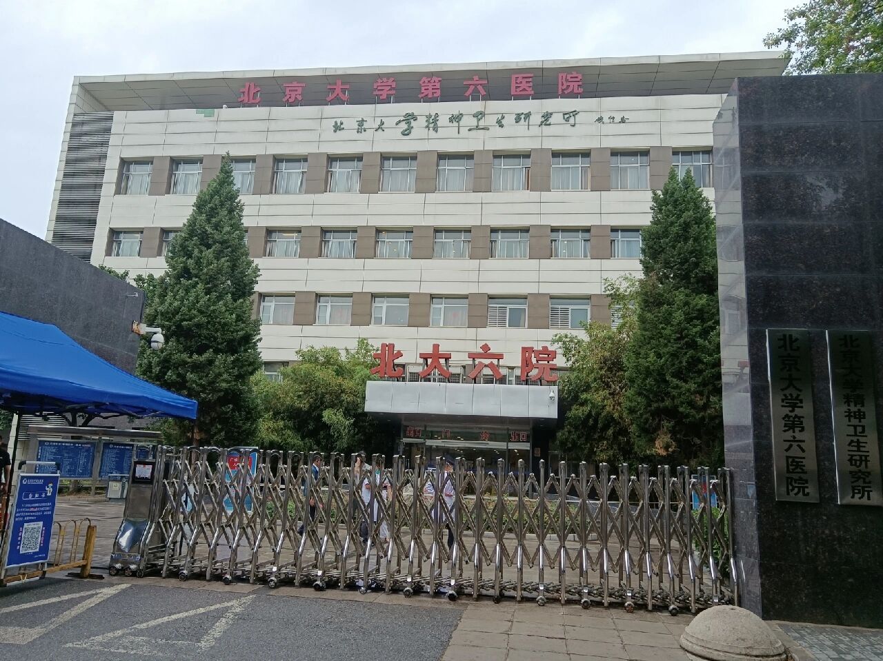 关于北医六院老年人看病代挂号复杂病情梳理分析，治疗方向更清晰的信息