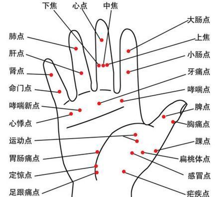 🤲手掌部位名称图解