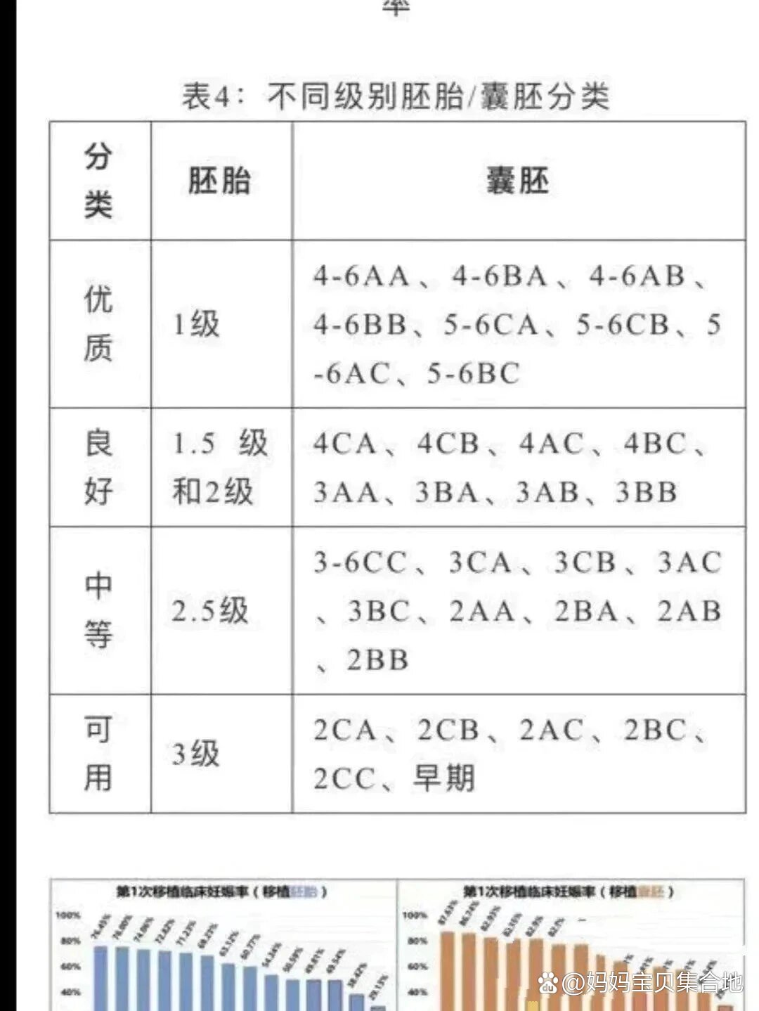 囊胚等级来喽