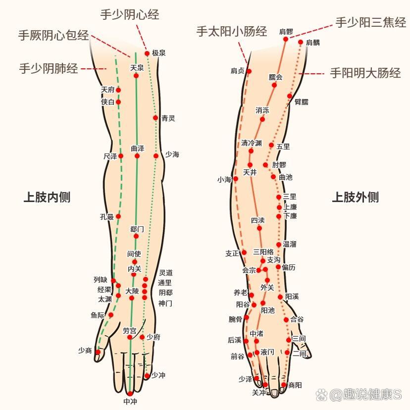 手三阳经脉循行图片