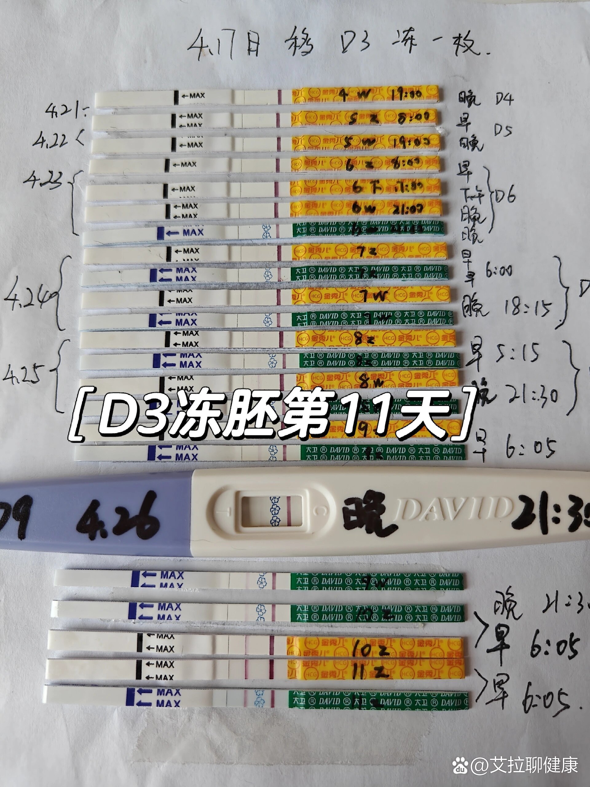 d3冷冻胚胎移植成功几率高吗_d3冷冻胚胎移植成功几率高吗多少