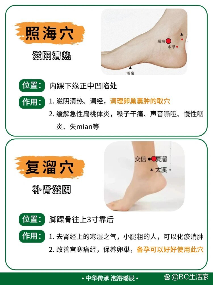 常按6个卵巢保养穴位,保持年轻9599
