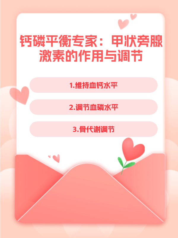 钙磷平衡专家:甲状旁腺激素的作用与调节