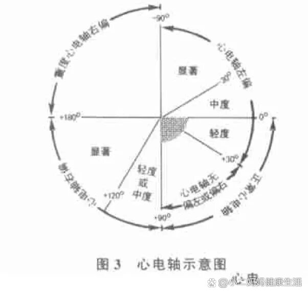 电轴不偏 全网资源