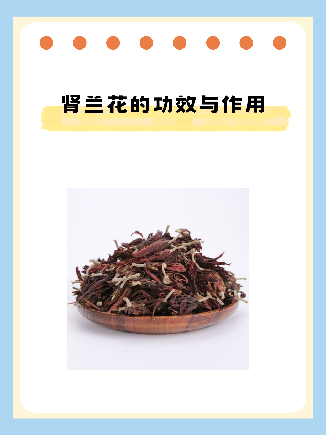 肾兰花的功效与作用