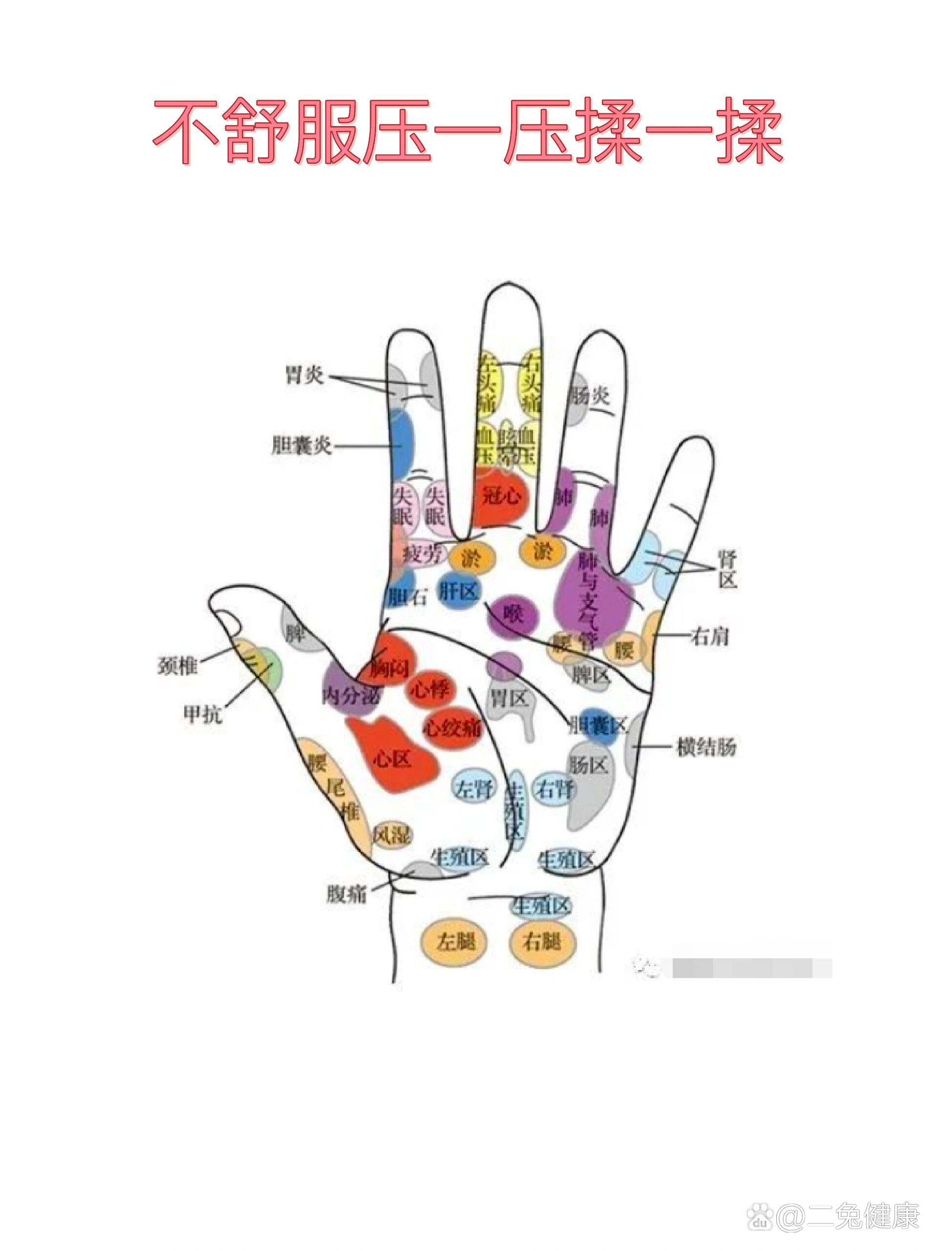 手学位图解大全图片