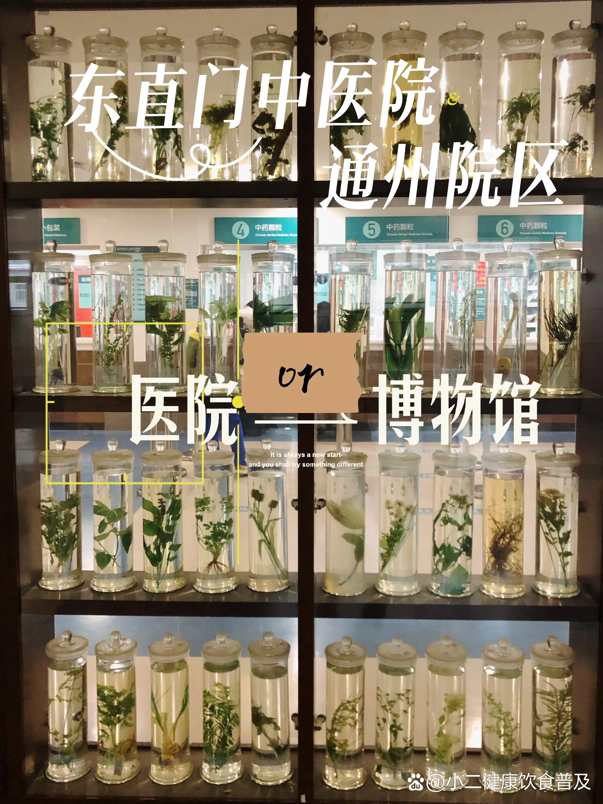 北京中醫醫院、通州區黃牛票販子號販子掛號聯系方式的簡單介紹