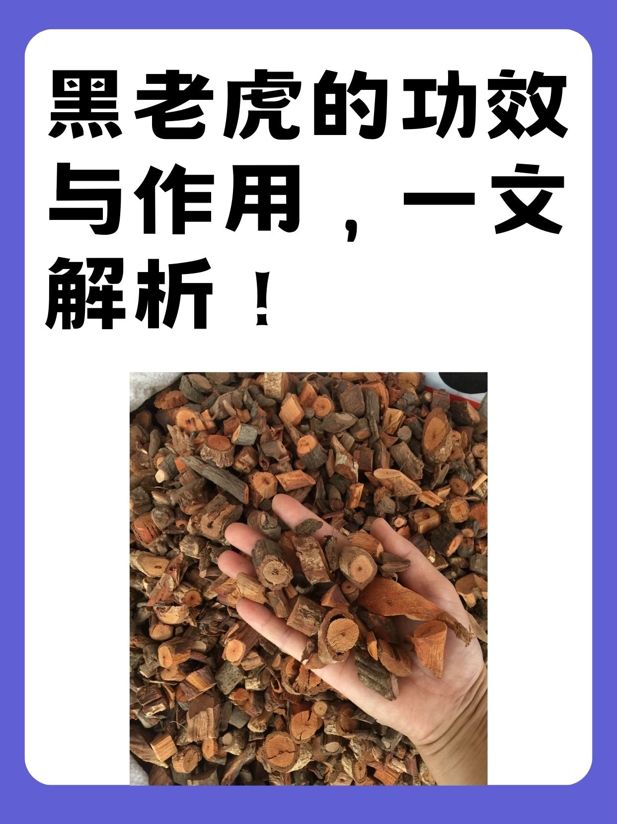 黑老虎的功效与作用