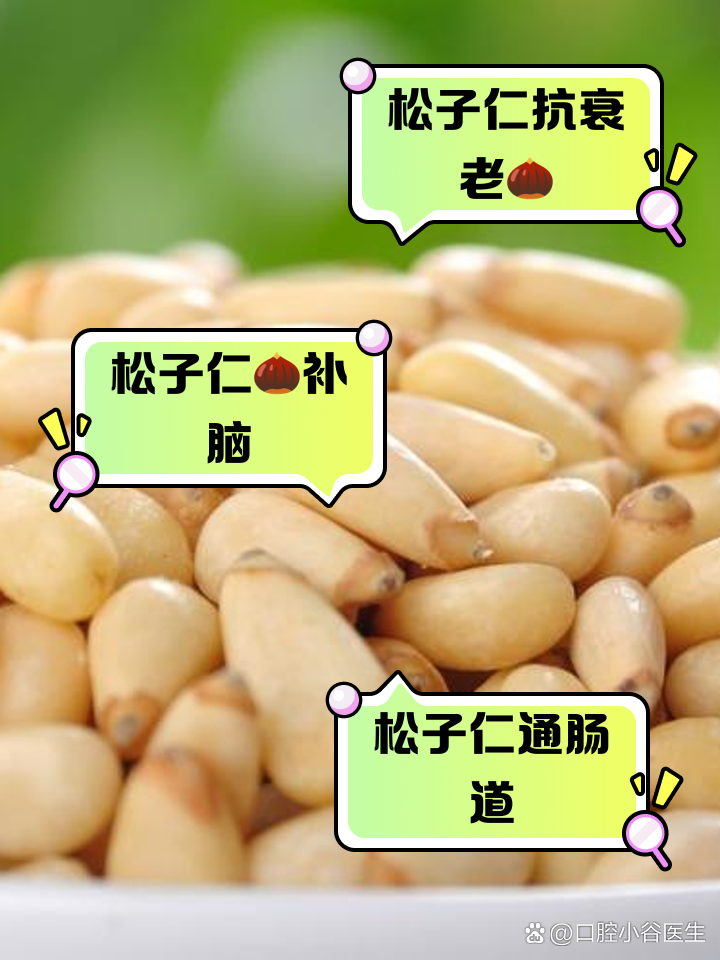 松子仁的功效