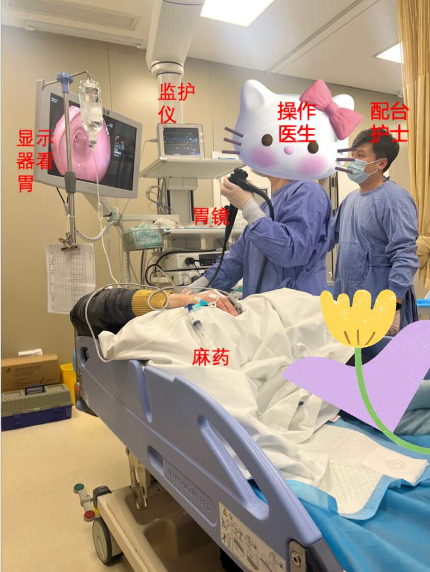 无痛胃镜这样做