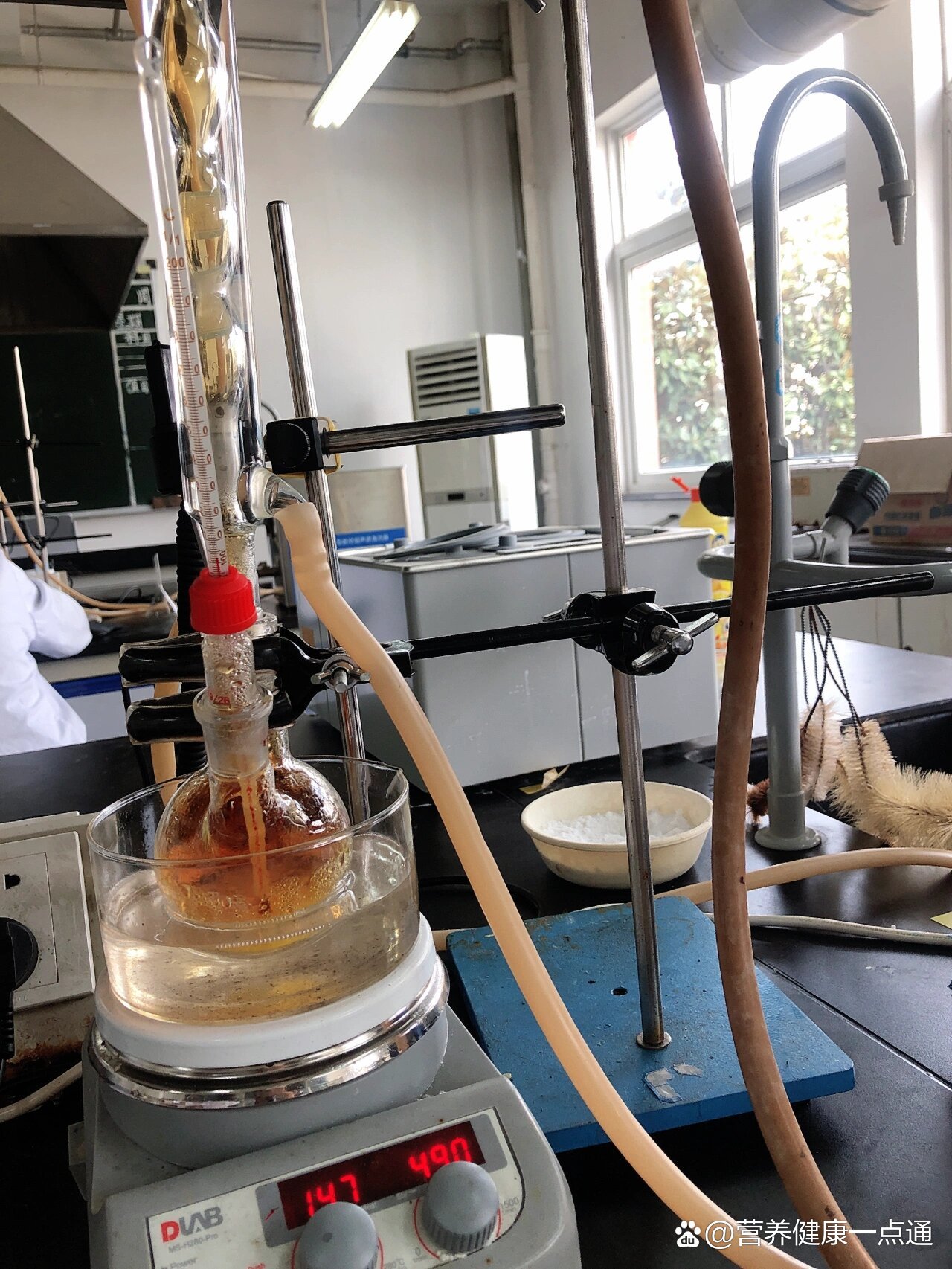 药物化学实验