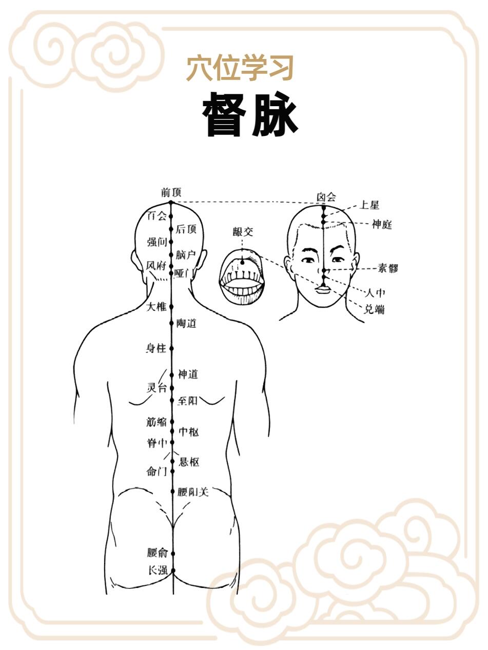 穴位学习