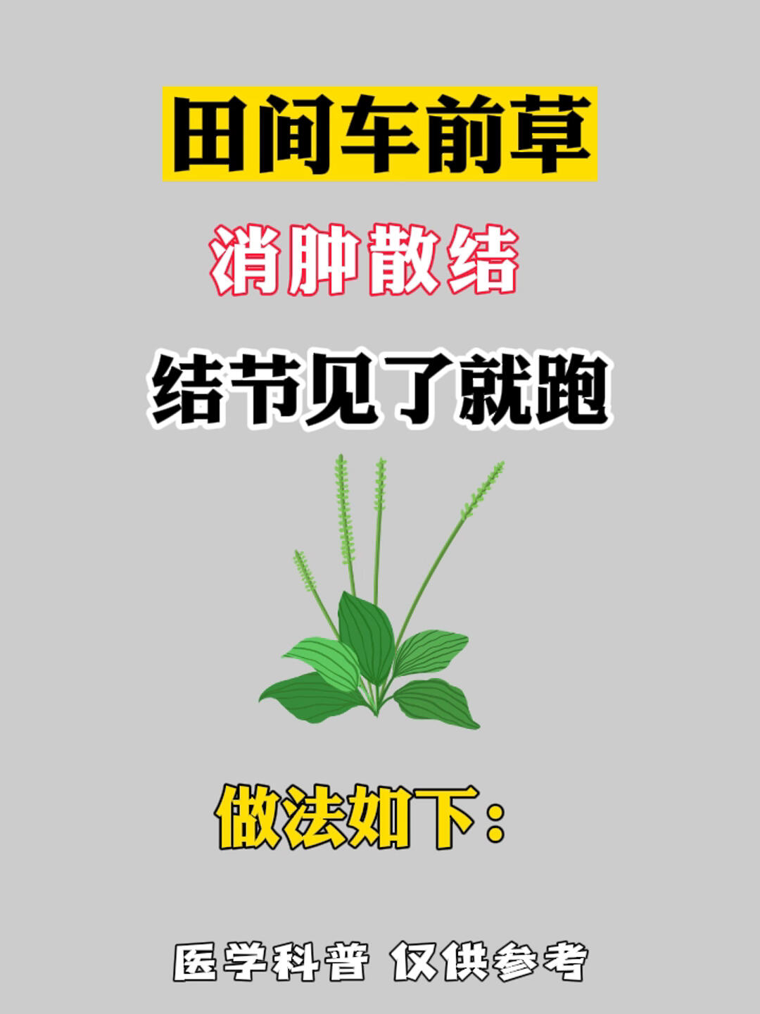 山间常见的一种草消肿散结没烦恼