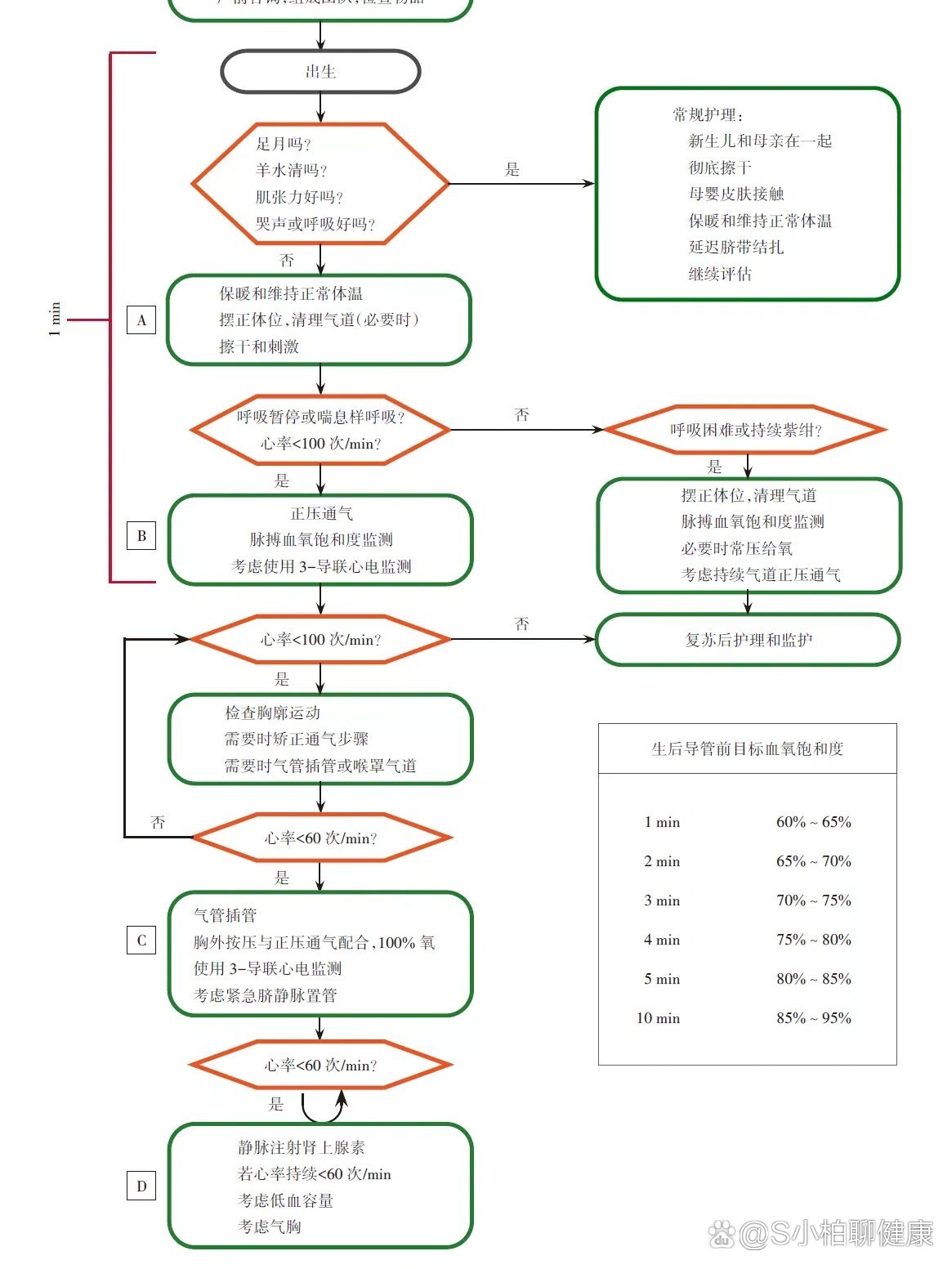 中国新生儿复苏流程图图片